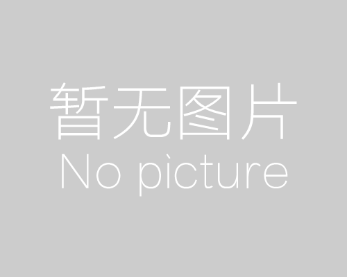 CRA017 東風(fēng)風(fēng)神S30 1.6（老款）